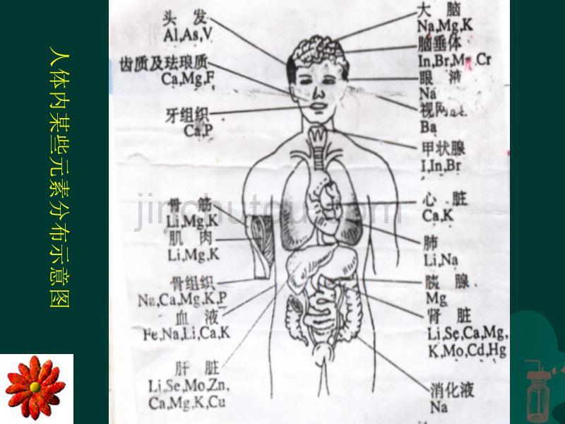 化学元素与健康2_第3页