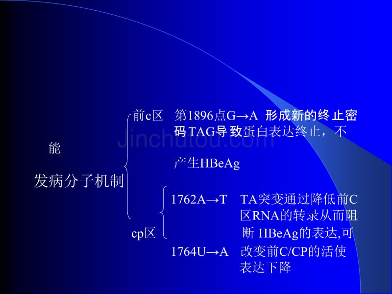 e抗原阴性的慢性乙型肝炎的研究进展_第5页