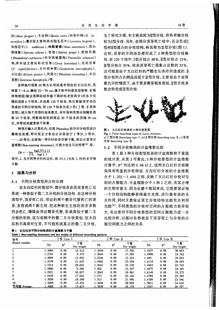 太白红杉顶芽动态及其对分枝格局的影响_第2页