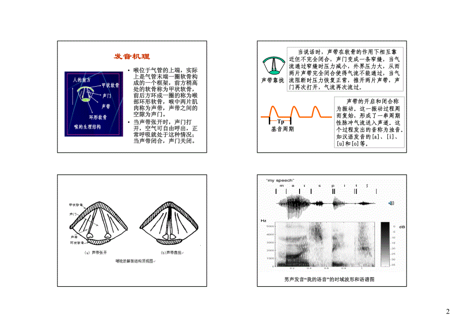 语音信号处理-第02章 语音信号的产生、特征与人耳的听觉特性_第2页
