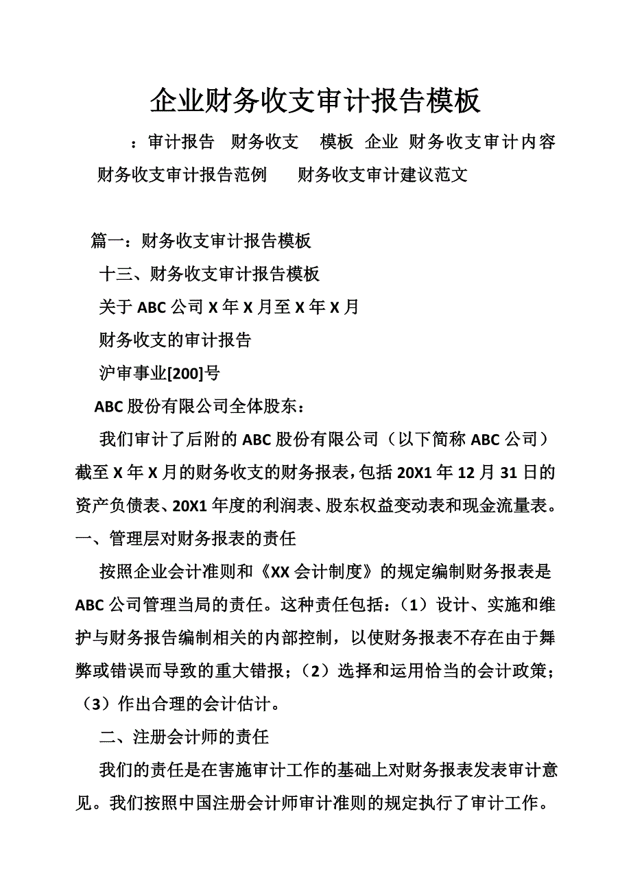 企业财务收支审计报告模板_第1页