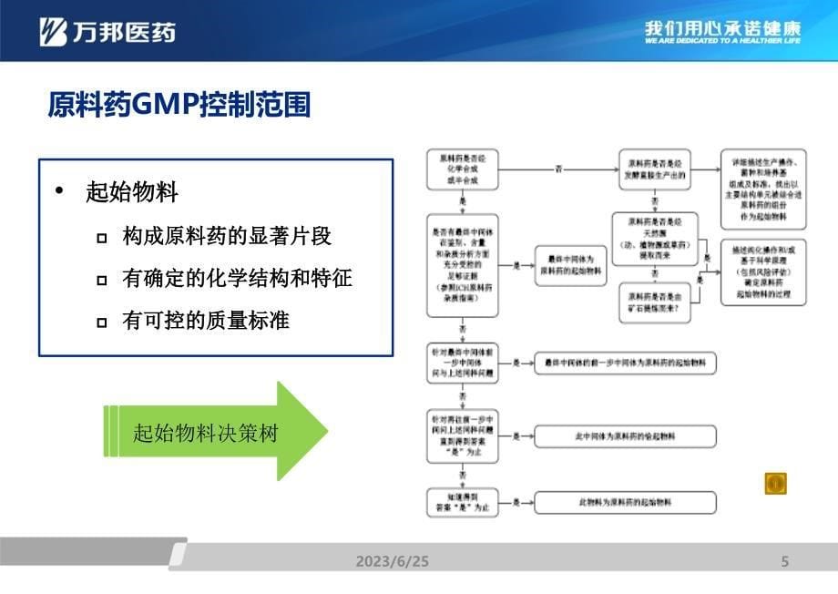 原料药GMP2010_第5页