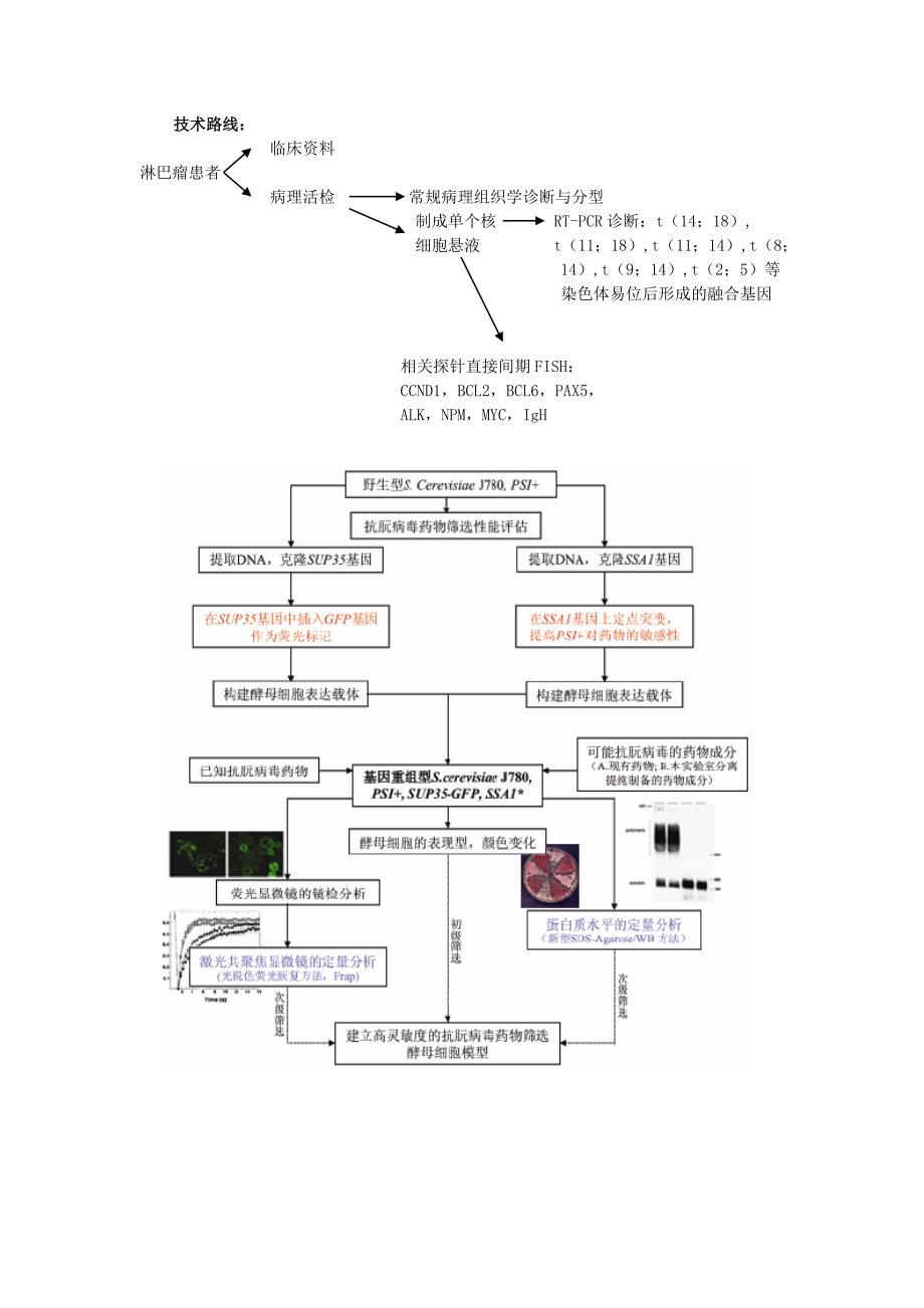 自然科学基金申请书技术路线汇总_第3页