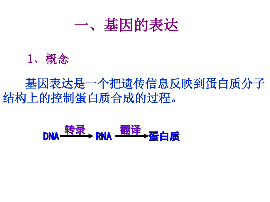 基因的表达与基因对性状的控制_第2页