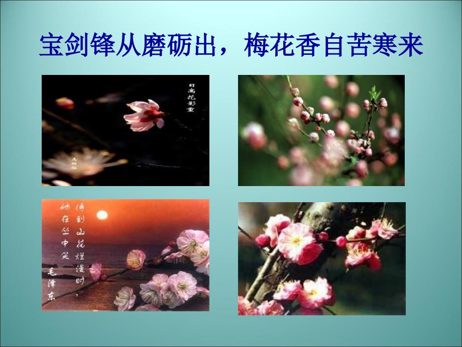 卜算子·咏梅.ppt2_第2页