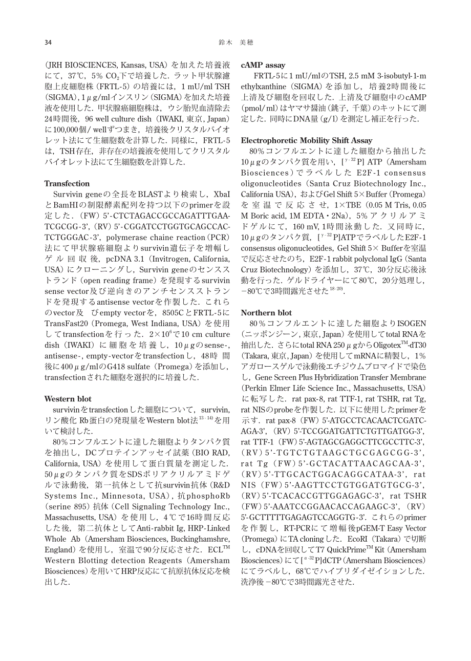 survivin の甲状腺滤胞上皮细胞増殖および分化に対する_第2页
