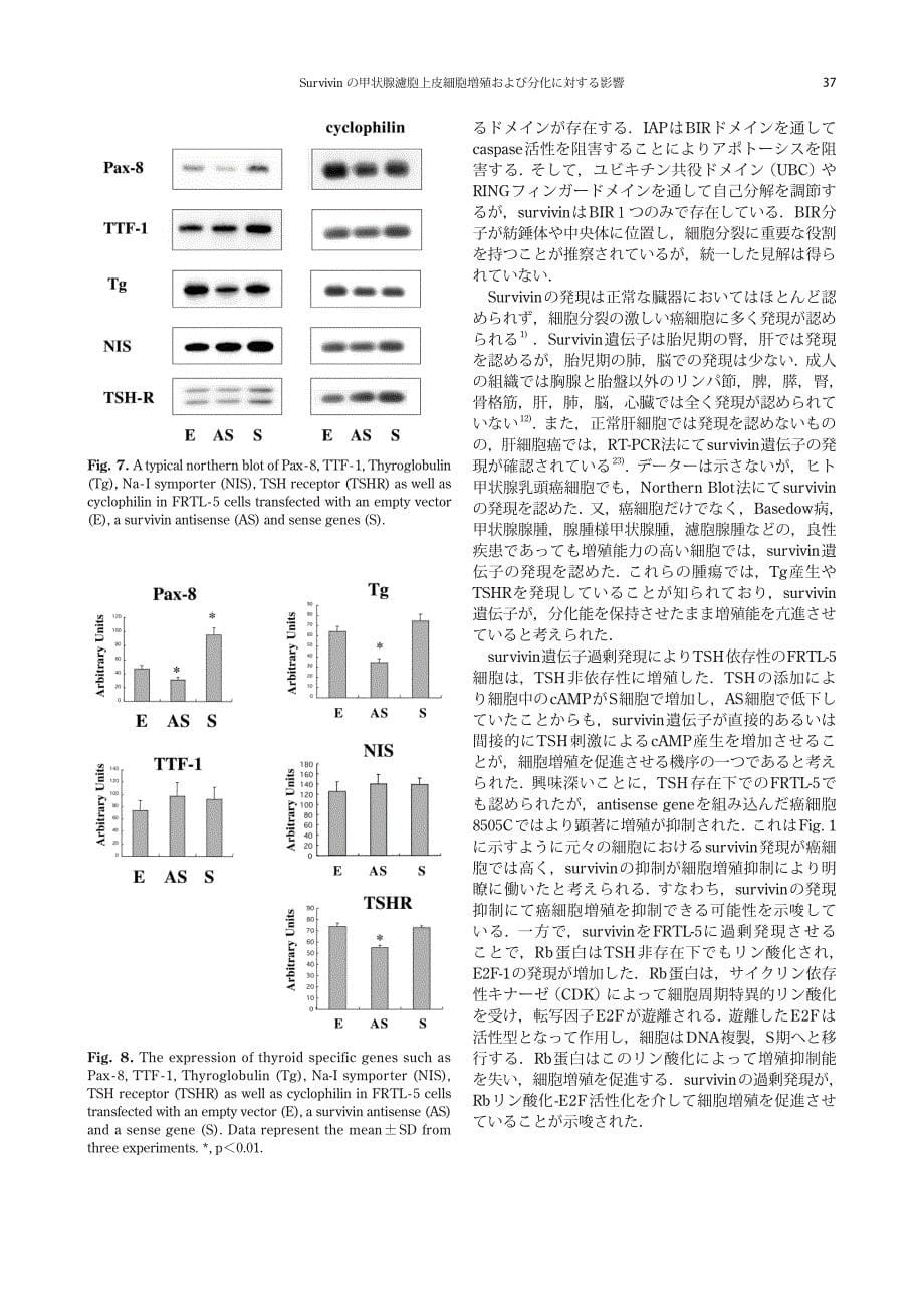 survivin の甲状腺滤胞上皮细胞増殖および分化に対する_第5页