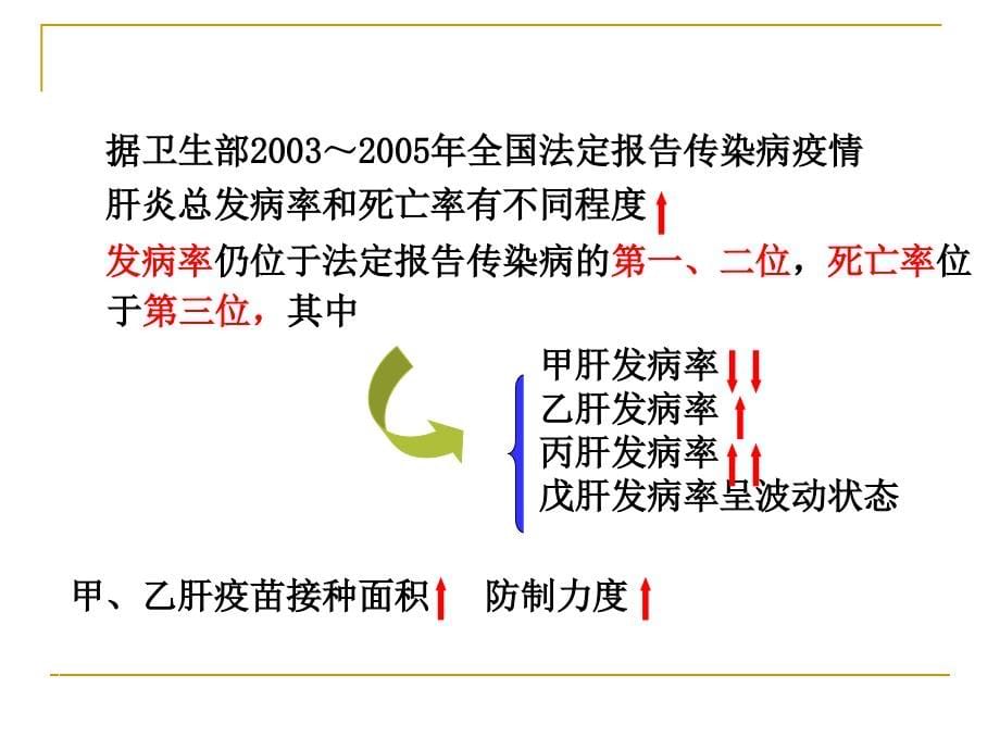 肝炎病毒ppt_第5页