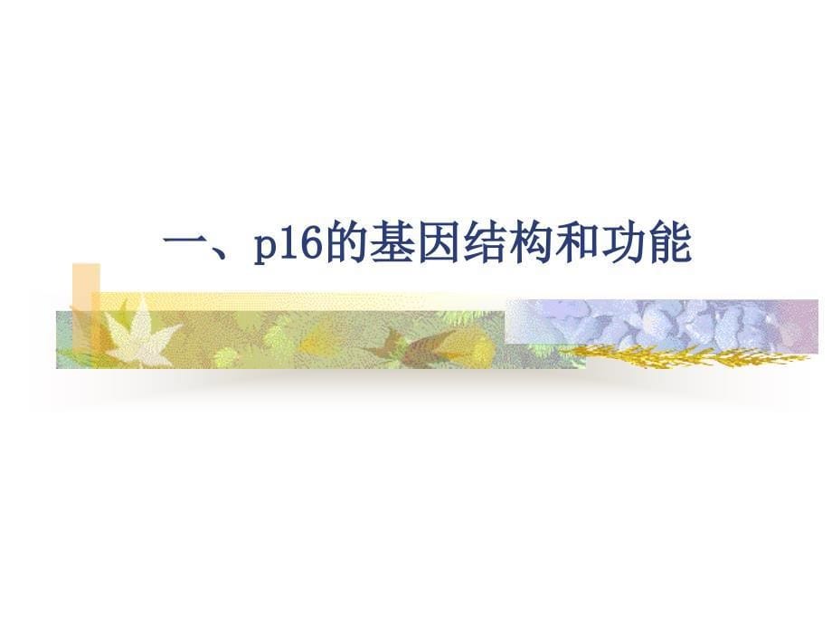 硕士研究生开题报告p16在宫颈癌发生中的作用及其机制的_第5页