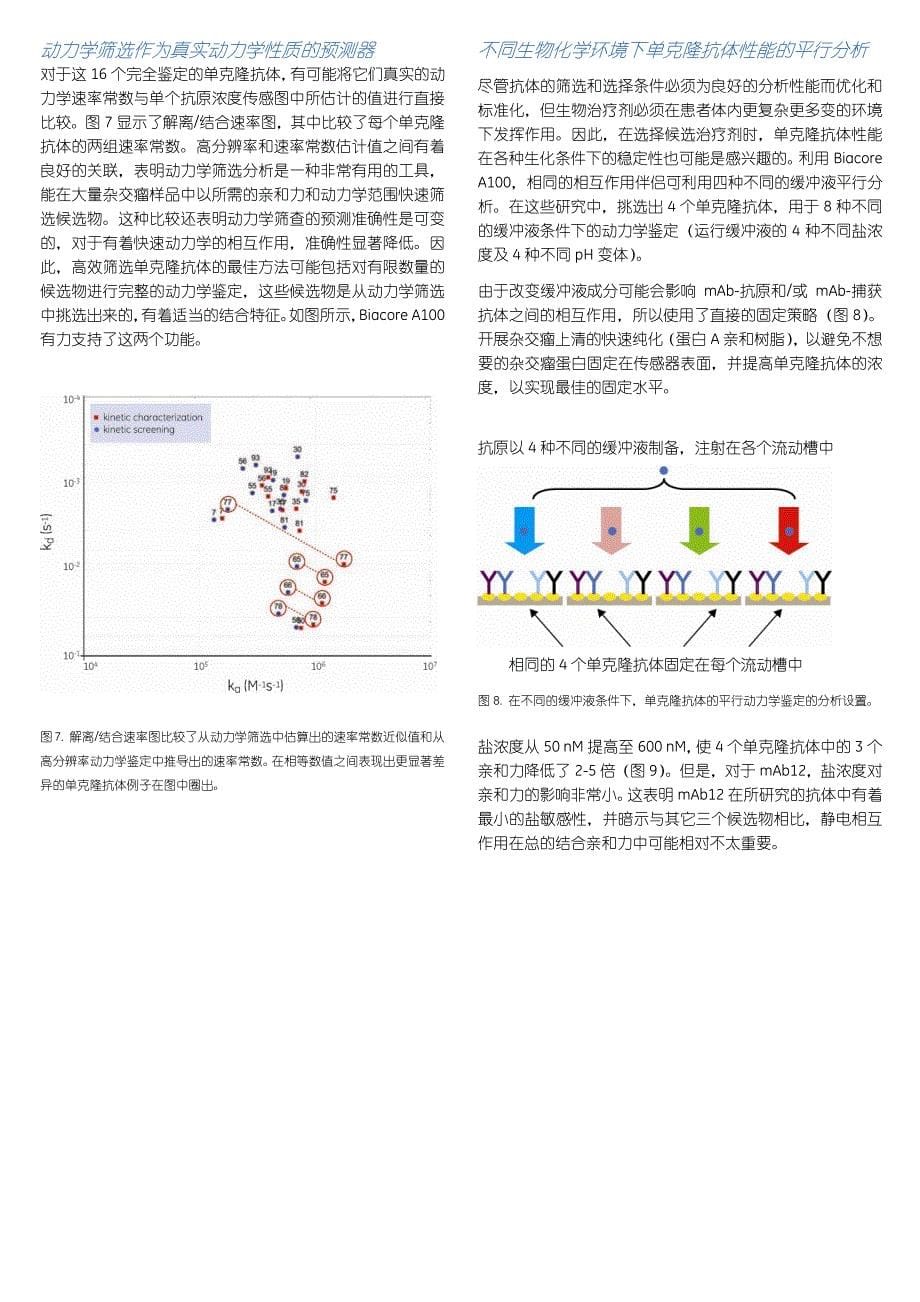 利用biacorea100对杂交瘤的早期动力学筛选可实现充满信_第5页