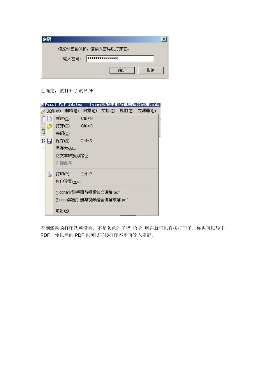 破解加密pdf文件_第2页