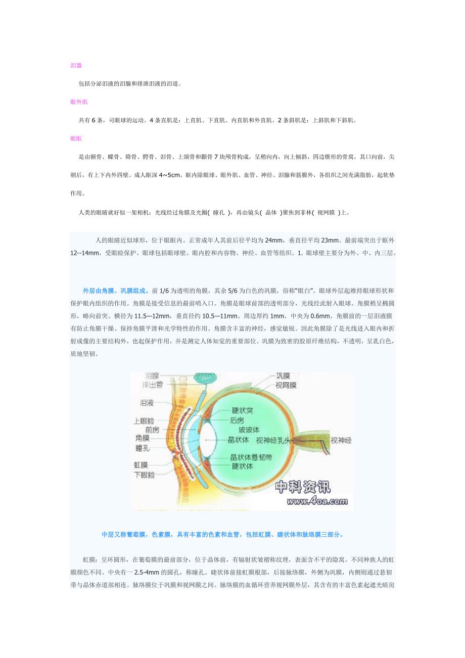 眼睛解剖学_第4页