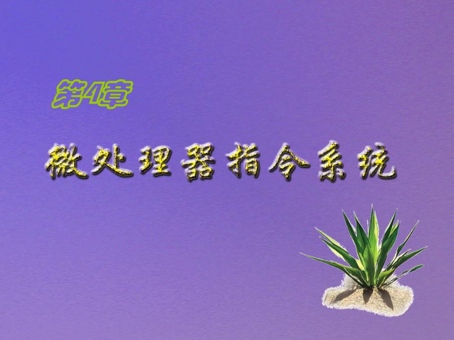 微处理器指令系统_第1页