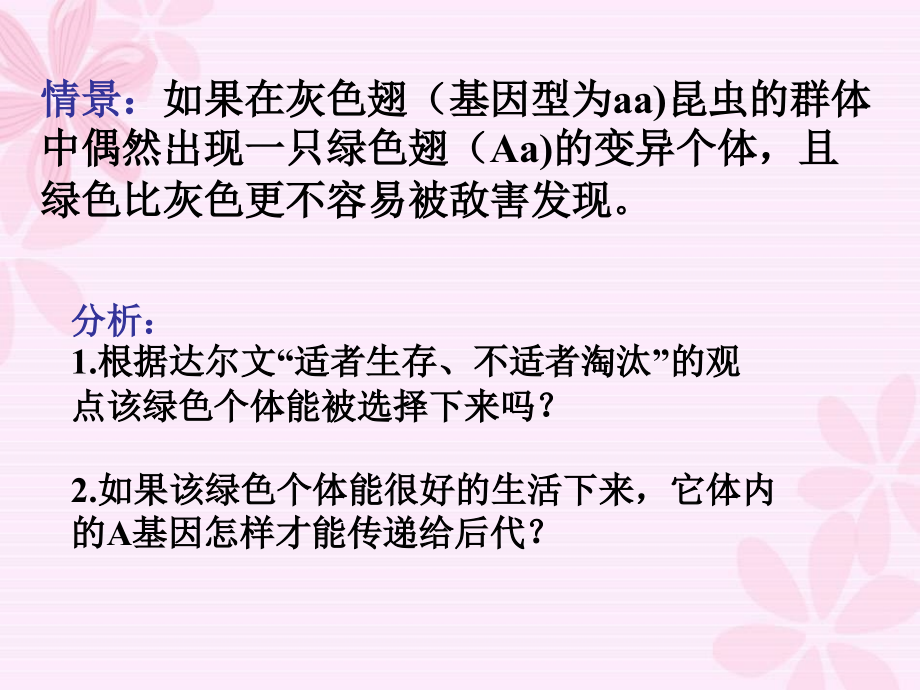 72上课 现代生物进化理论的主要内容_第2页