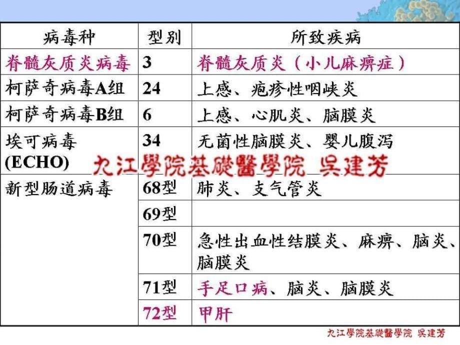 26 肠道病毒急性胃肠炎病毒_第5页