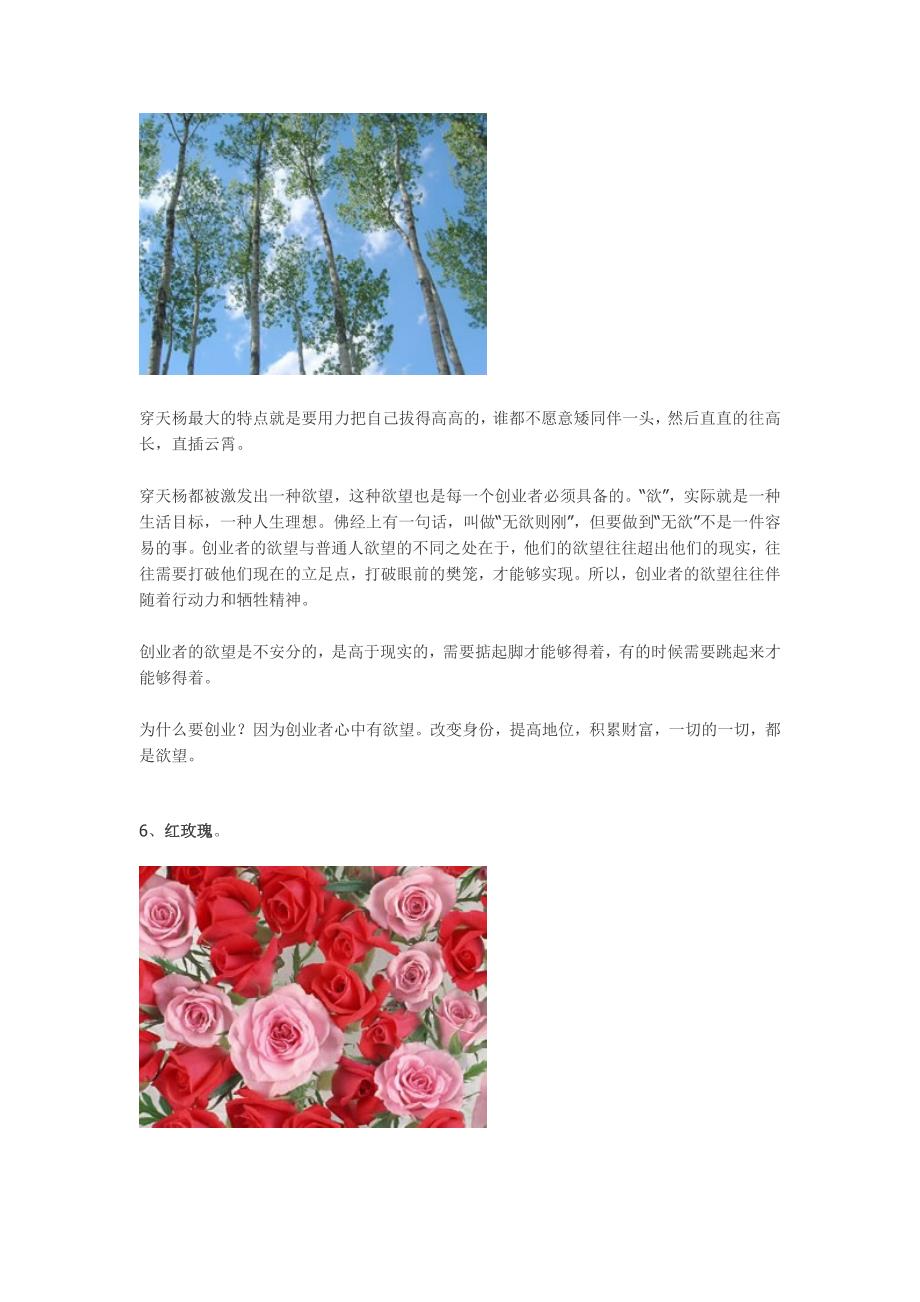 中国创业人必学的六种植物精神_第4页