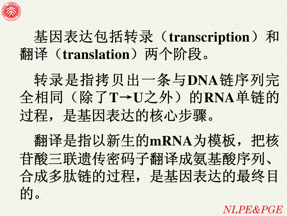 北京大学 分子生物学课件第3讲_第2页