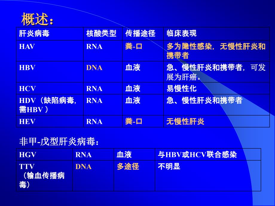 肝炎病毒(201212五年制)(罗2)_第2页