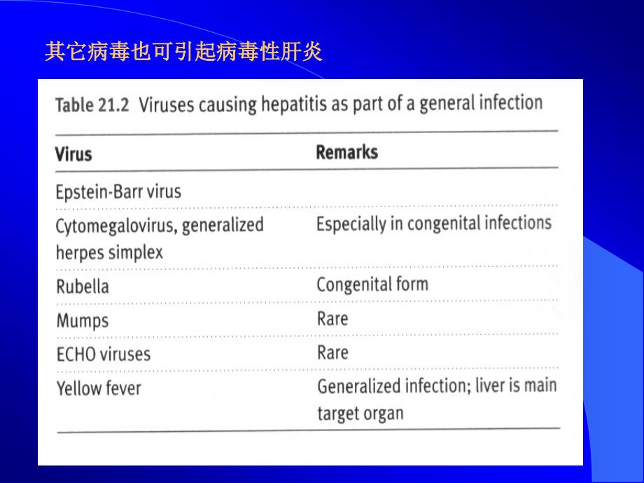 肝炎病毒(201212五年制)(罗2)_第3页