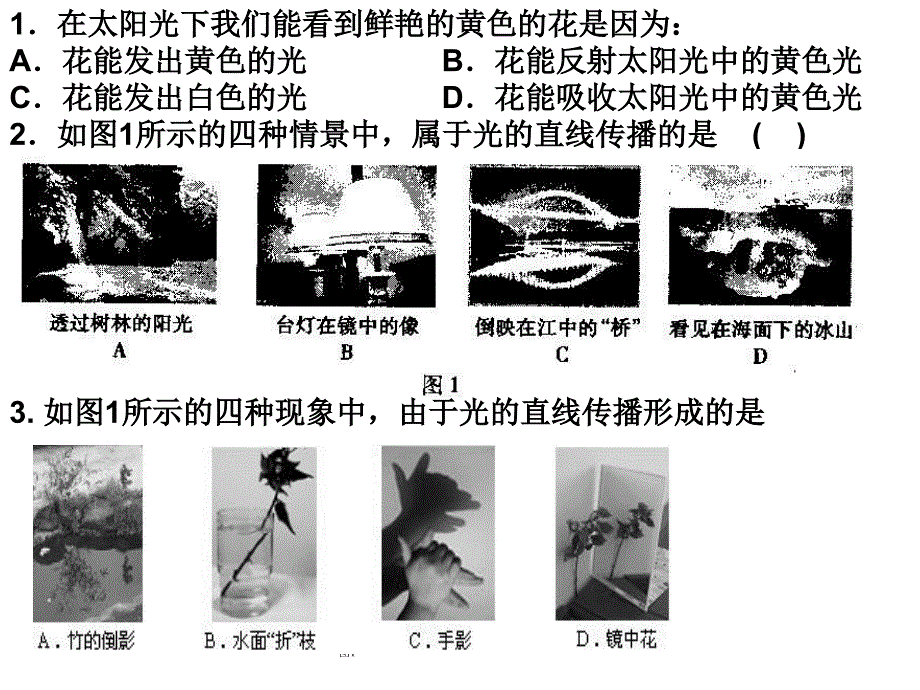 中考声和光典型习题_第3页