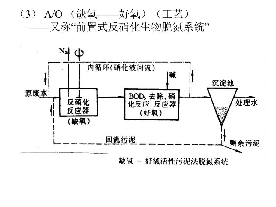 第4章 生物脱氮除磷工艺_第5页