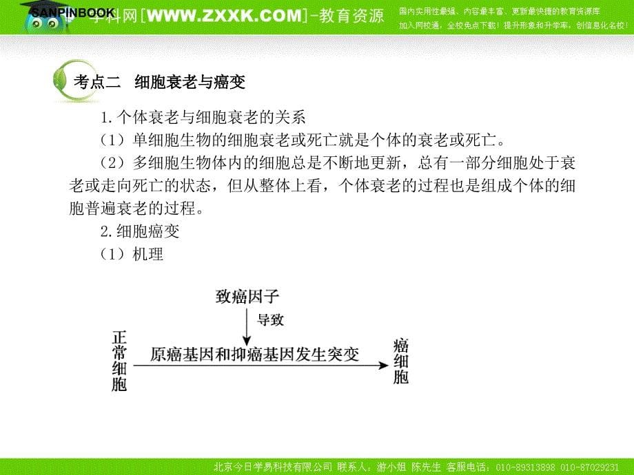 2011年高考生物一轮复习 2-3细胞的分化、癌变和衰老_第5页