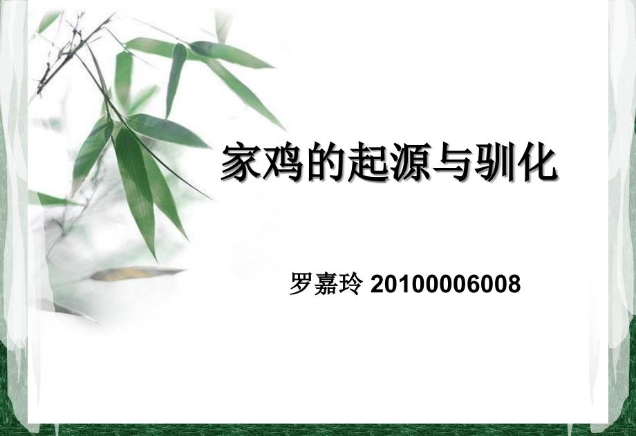 鸡的起源与进化_第1页