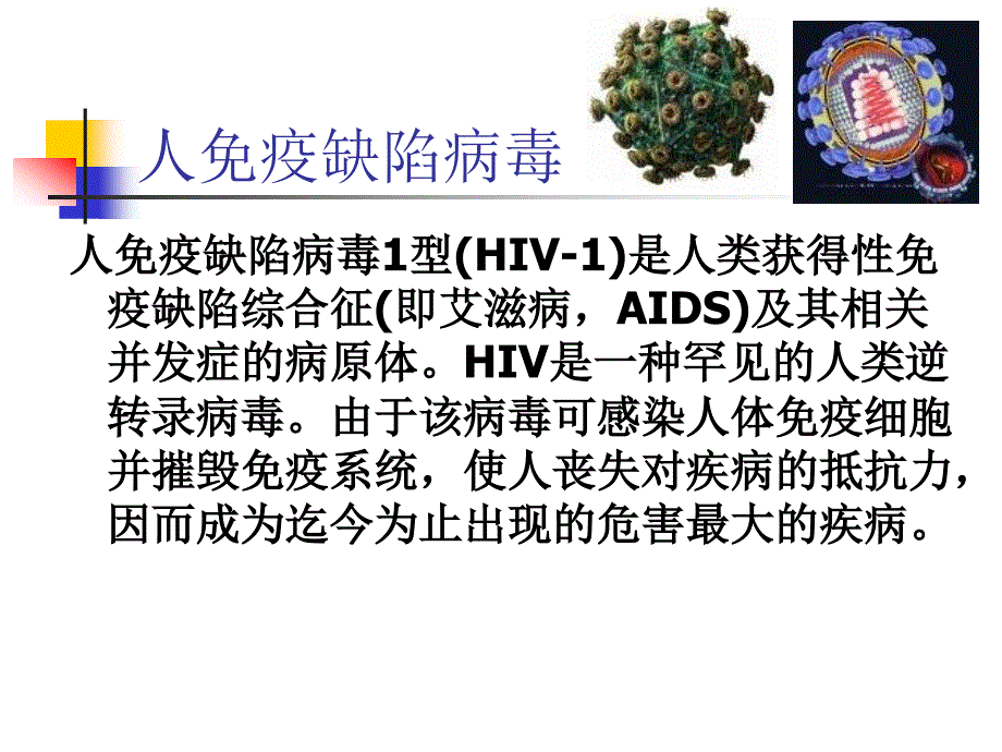 4-肝炎病毒_第1页