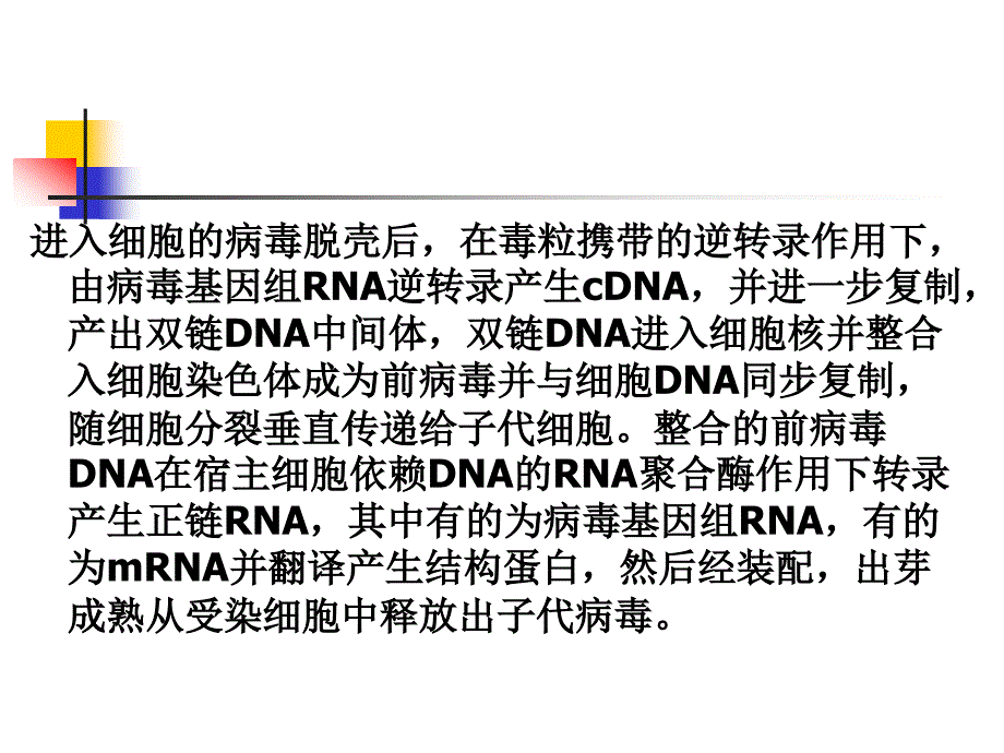 4-肝炎病毒_第3页