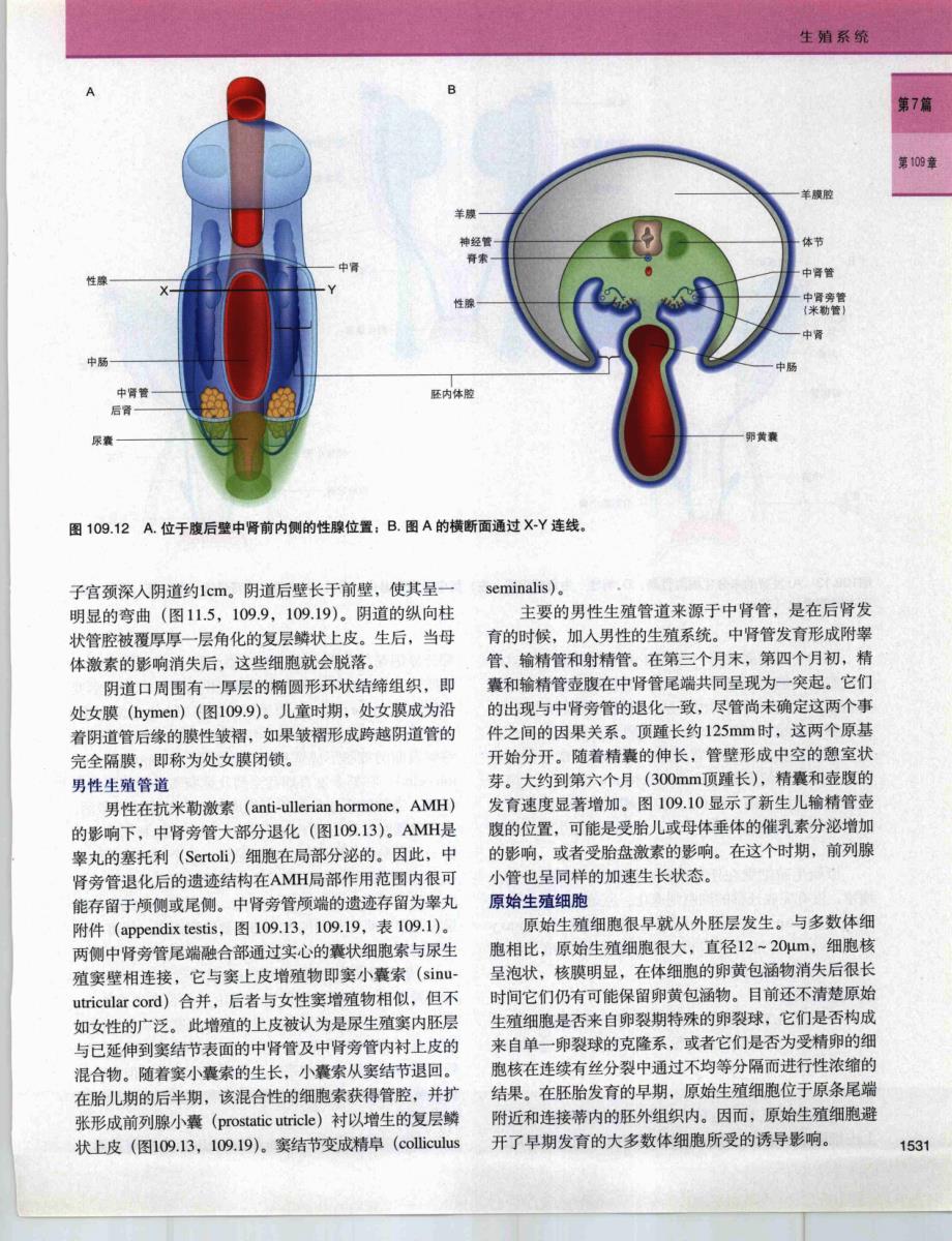 格氏解剖学[第39版第七章 腹部和盆部17_第1页