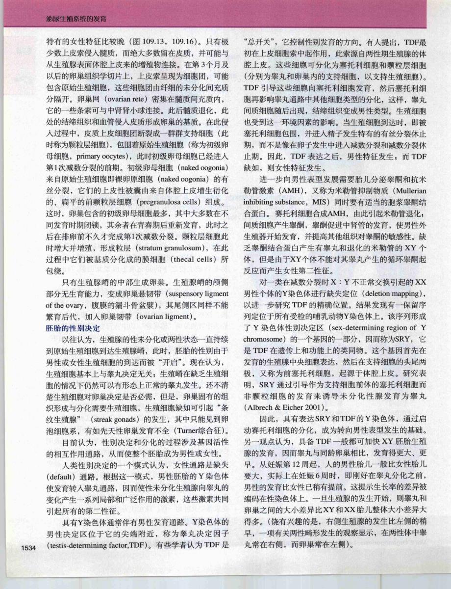 格氏解剖学[第39版第七章 腹部和盆部17_第4页