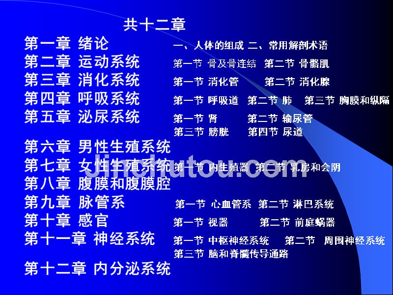 人体系统解剖学——专业课讲义_第2页