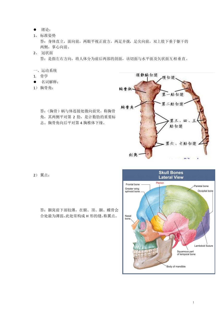 华中科技大学解剖学复习题_第1页