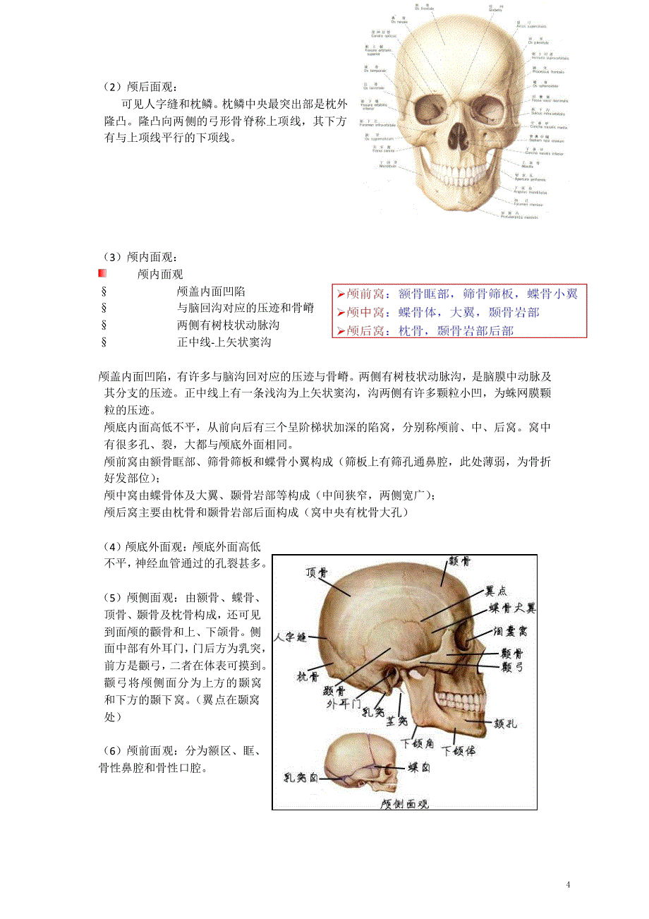华中科技大学解剖学复习题_第4页