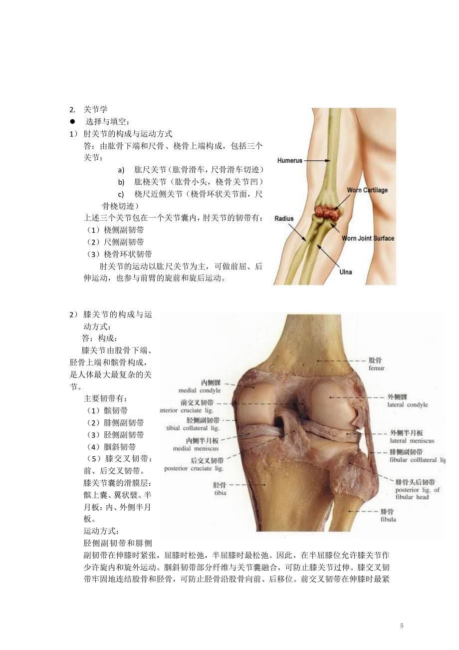华中科技大学解剖学复习题_第5页