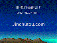 小细胞肺癌的治疗-2012年nccn指南中文