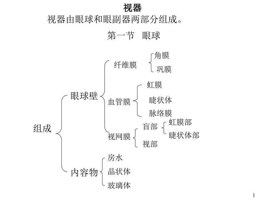 人体解剖之眼_第1页