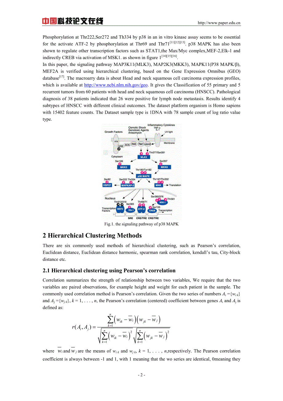 在头颈部鳞癌的基因表达谱中建立理论的p38 mapk信号传_第2页