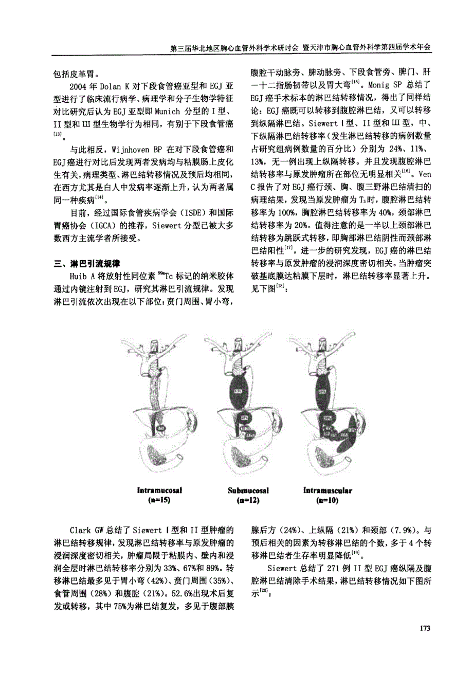 食管胃交界部癌的概念分型及外科治疗进展pdf_第3页