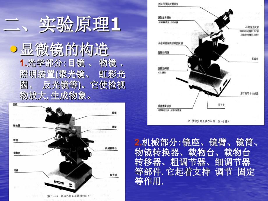 显微镜的使用和细菌形态与染色_第3页