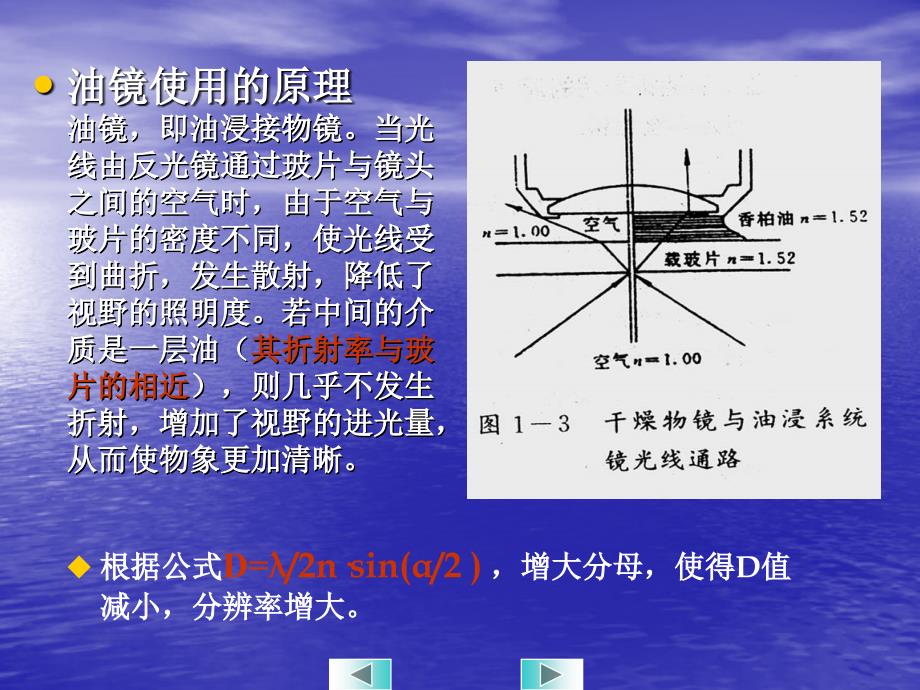 显微镜的使用和细菌形态与染色_第4页