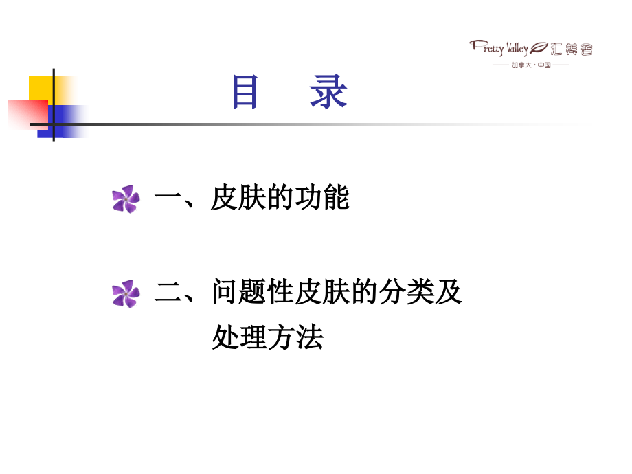 中级皮肤知识培训教案.ppt11_第2页