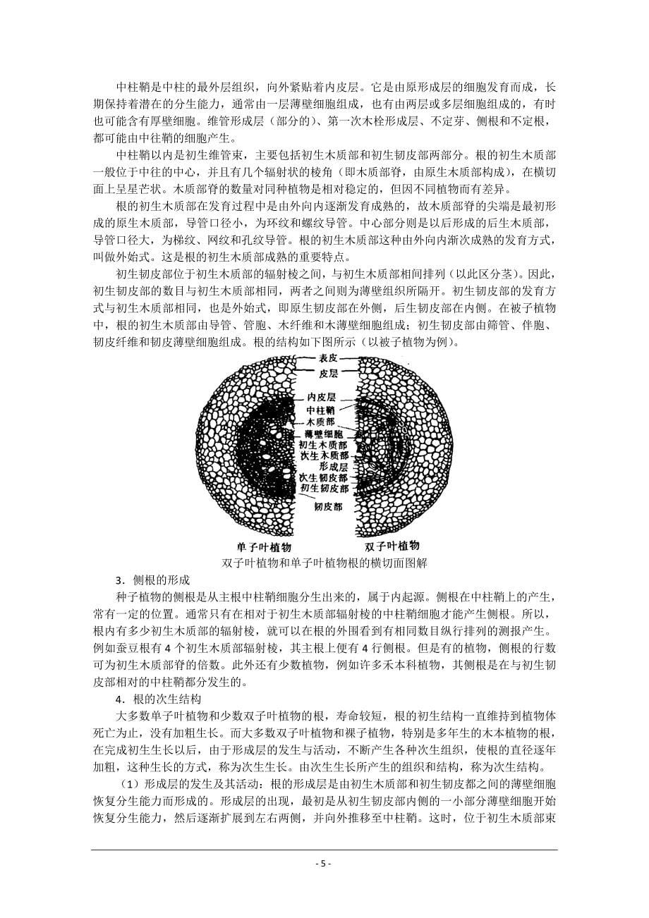 高中生物奥林匹克竞赛教程植物形态解剖(上)_第5页