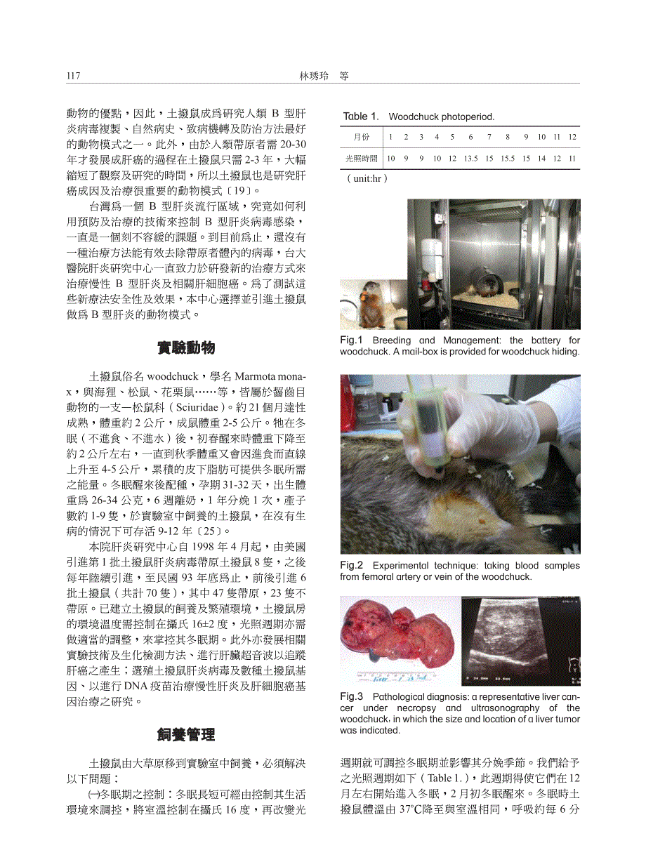 型肝炎及相关肝病动物模式-土拨鼠之饲养管理及实验技术_第2页