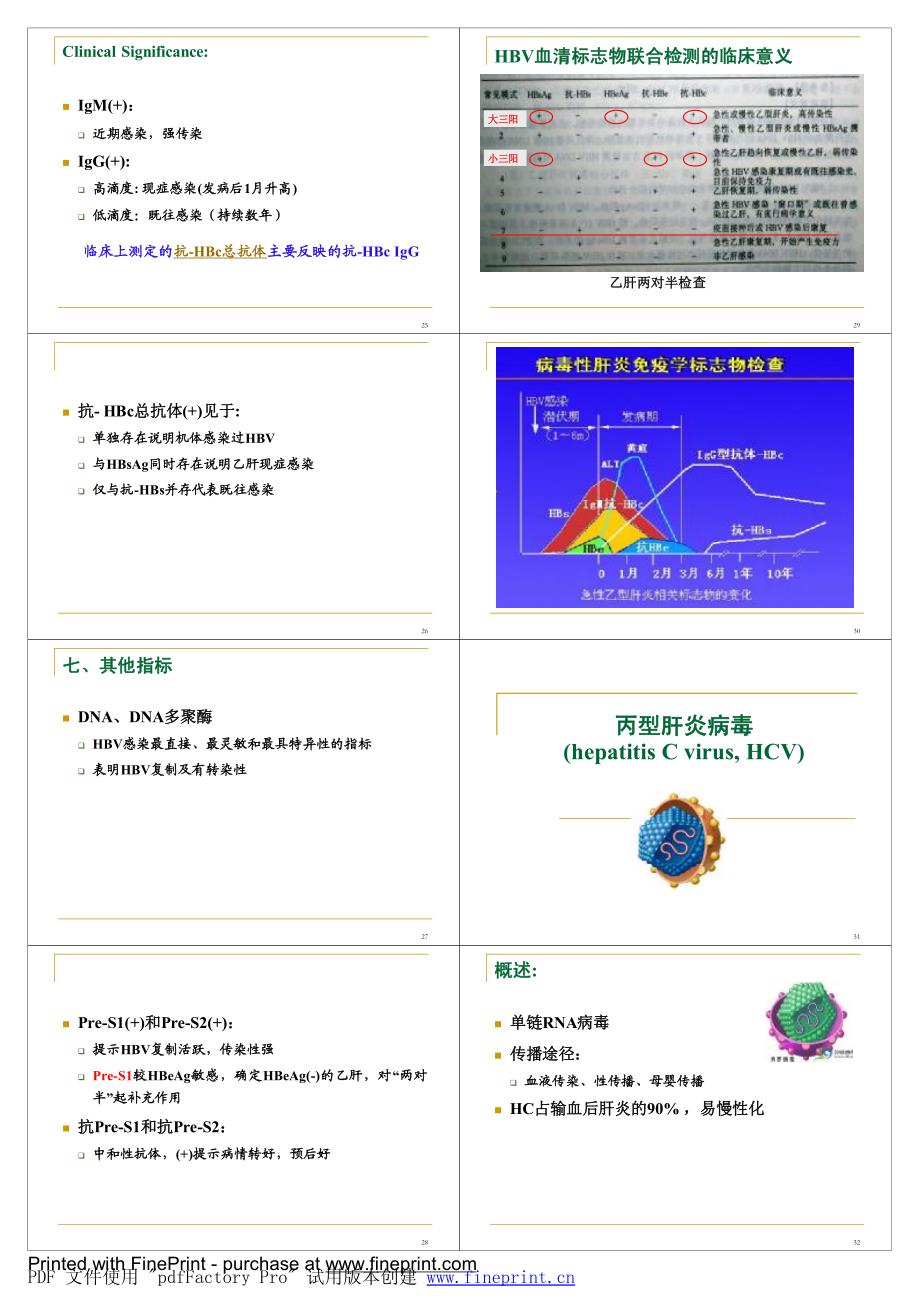 病毒性肝炎-54_第4页