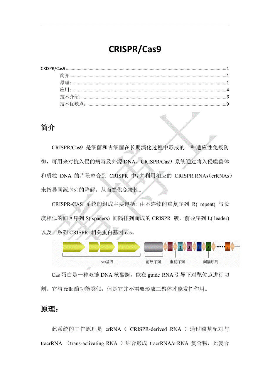 科研界的新宠-crisprcas9_第1页