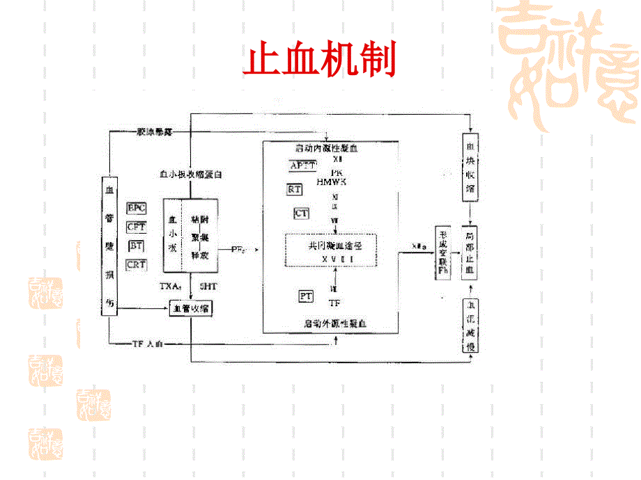 出血性疾病讲稿_第4页