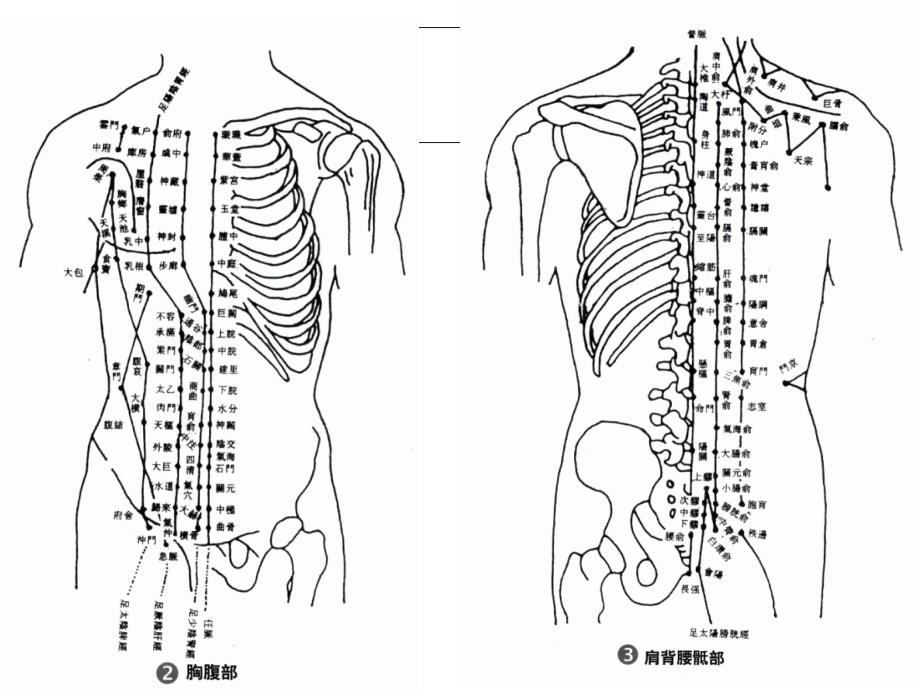 人体穴位图之总图、分图、十二经脉图、奇经八脉图_第4页
