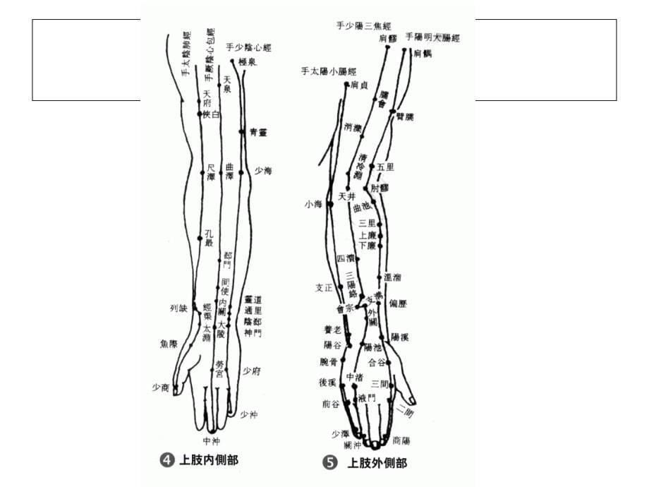 人体穴位图之总图、分图、十二经脉图、奇经八脉图_第5页
