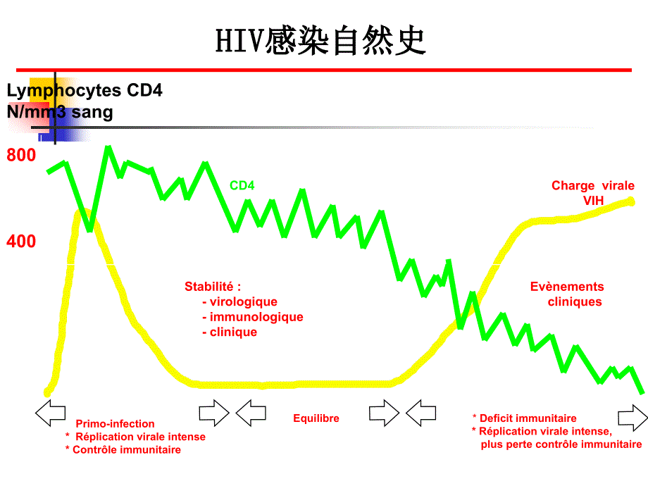 艾滋病流行病学-生物、社会(20111020)_第3页